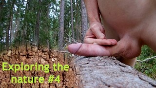 Exploring the nature #4 - Risking it on a Forest path