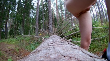 Exploring the nature #4 - Risking it on a Forest path