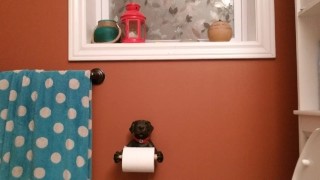 Late Night Piss and Jerk