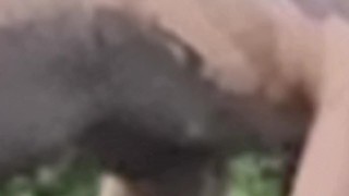 Mud bath