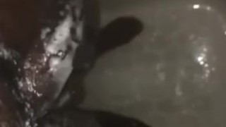Rich solo shower 