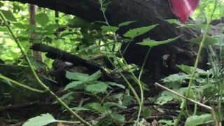 ARAB GIRL PUBLIC PISSING IN FOREST 