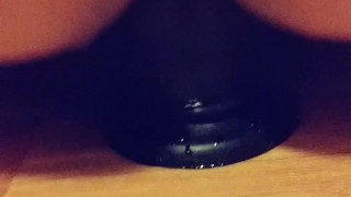 BBW riding BBC
