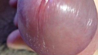 How do you like that cock?