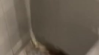 Cum shots all over mall bathroom