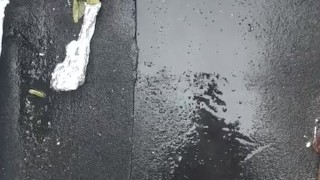 Walking Piss in Nice Clothes