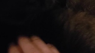 Petting My Favorite Pussy