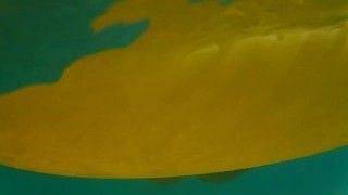 Open Sea PEE ADVENTURE # Public Beach PISSING FOUNTAIN