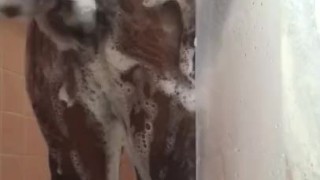 Afternoon Shower 