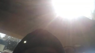 brain in the car