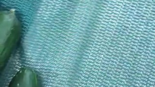Muslim Girl Likes Vegetable Dildos