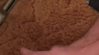 Cumming for a friend solo watching myself in mirrors 