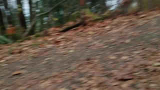 Quickie POV Piss In Public