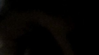 anal.