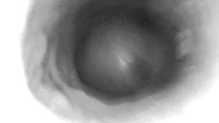 The Storm Before The Calm: Internal camera only.