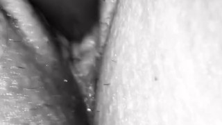 Wet pussy 