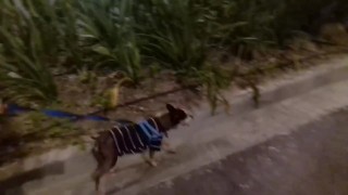 Strolling in the mall alone in the dark