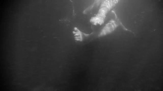 Romantic Underwater Art Video
