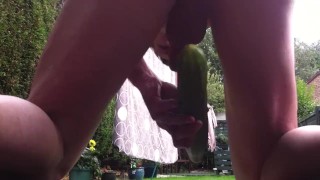 cucmber analin garden