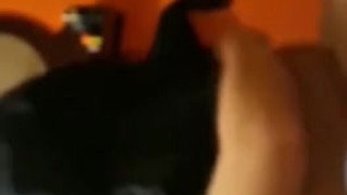 Lo hacemos con mi novia morena en el escritorio de sus padres