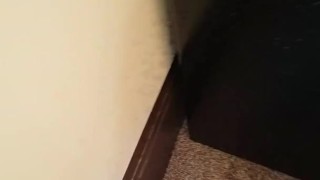 Carpet pissing