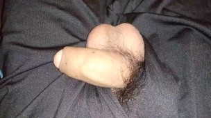 Feeling young twinks penis
