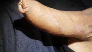 from soft cock to a hard boner (no cum)