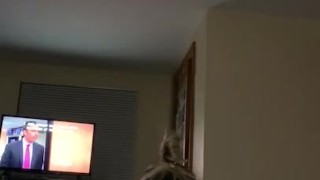 Ass BOUNCE on bbc