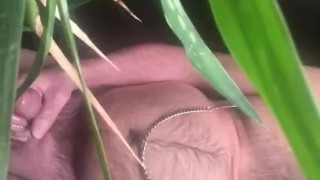 Big ball daddy jerks off with Cock ring and nipple clamps