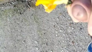Pov handjob flower art