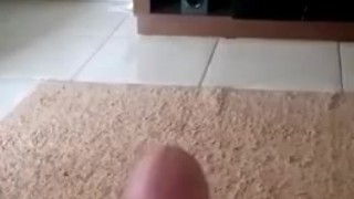 Brincando com o Malaquias