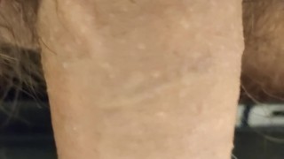 Jzs busca a la más guapa soltera para matrimonio, y ser millonario. 