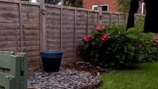 Naked in garden flashing neighbour 