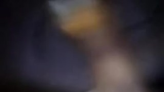 Harletxjester 