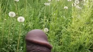 Detroit man playing with his dick in public