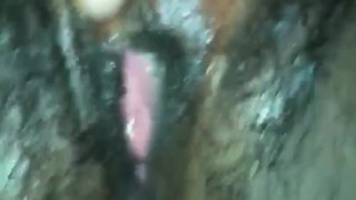 Wet Pussy 