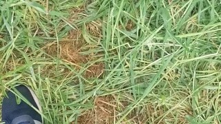 Outdoor pee