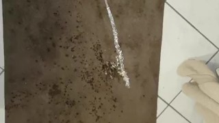 Wetting my new mini carpet