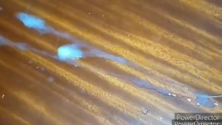 (40) Mega corrida semen fresco y caliente