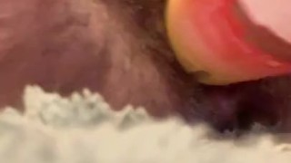 Cream & Piss-Soaked BBW Hairy Gaping Pussy [+ Bottle Fuck!]