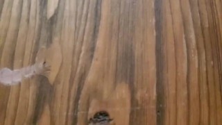 Big boob friend trying to rupture my balls 