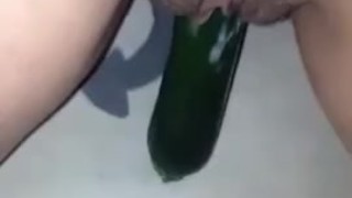 Zucchini Houdini