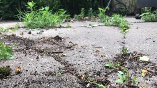 Hot stud goes all the way on dirty crack