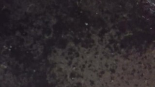 I almost forgot to water the garden.