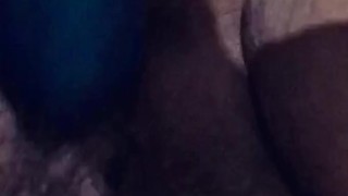hairy kitty play 