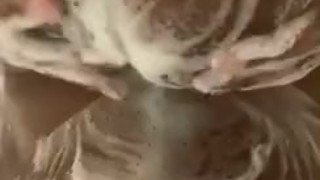 Soapy