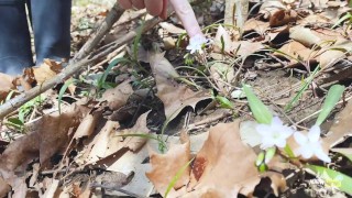 Vanlife Girlfriend Public Sex POV - Horny Hiking - Couple Fucks in van Down By the River POV