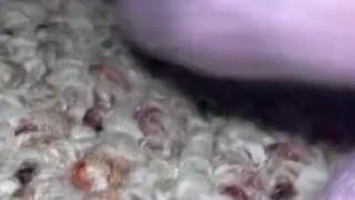 Cute Teen feet in Lavender Socks