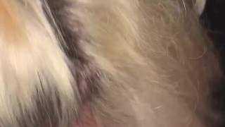 Stepbro creampies stepsis by the fire hoping they don’t get caught. 