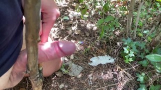ПАРЕНЬ ДРОЧИТЬ ИССЛЕДУЯ ПРИРОДУ. РИСКУЯ ИМ НА ЛЕСНОЙ ТРОПИНКЕ